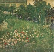 Vincent Van Gogh Daubigny's Garden (nn04) oil on canvas